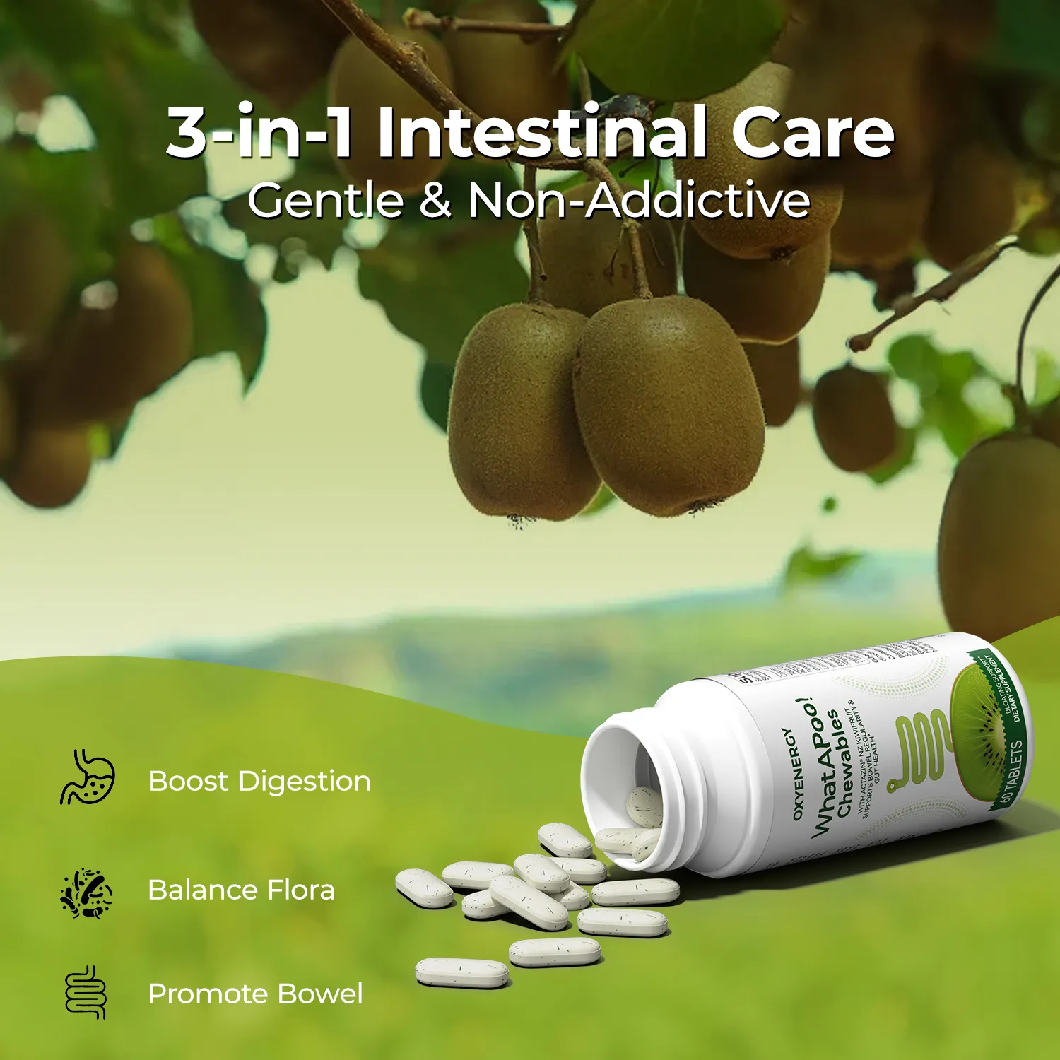 WhatAPoo! Chewables | Gentle Daily Gut Support & Regularity with Actazin® Kiwi & Postbiotics, Clinically Proven - Image 2